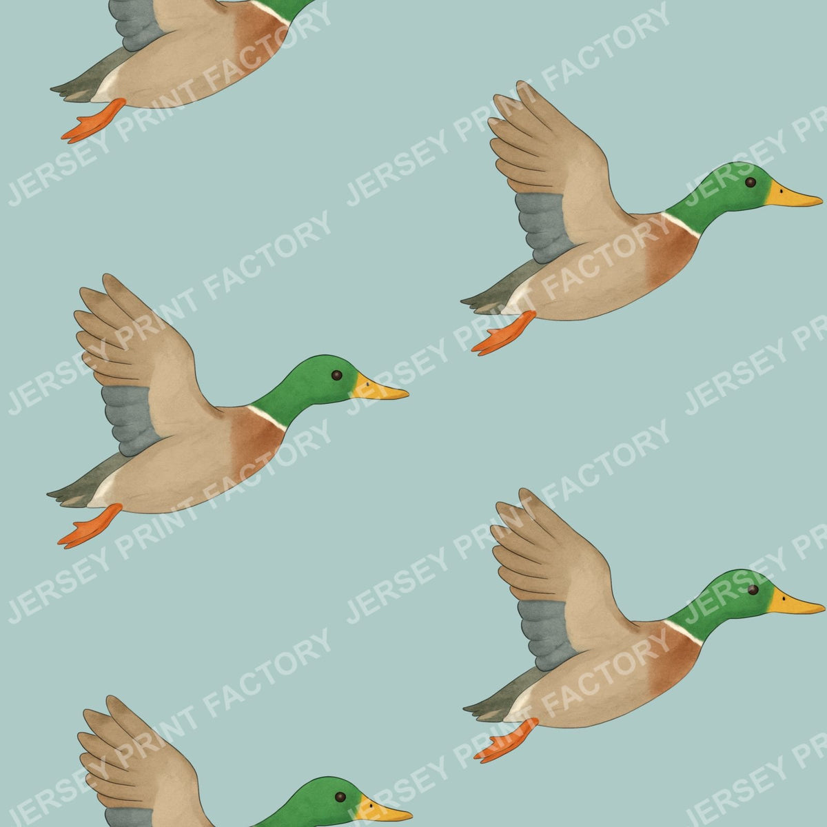Watercolour flying ducks on Duck egg blue