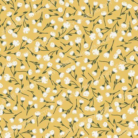 Mustard & Cream