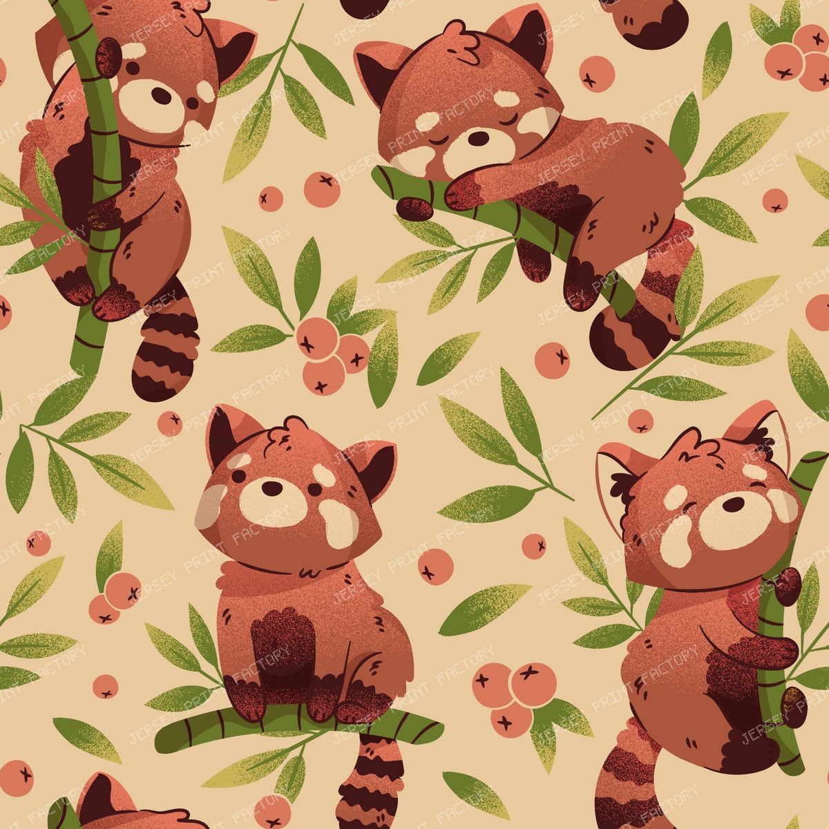 Red Panda | bamboo and animals
