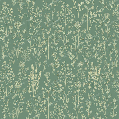 Wildflower Meadow