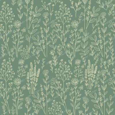 Wildflower Meadow