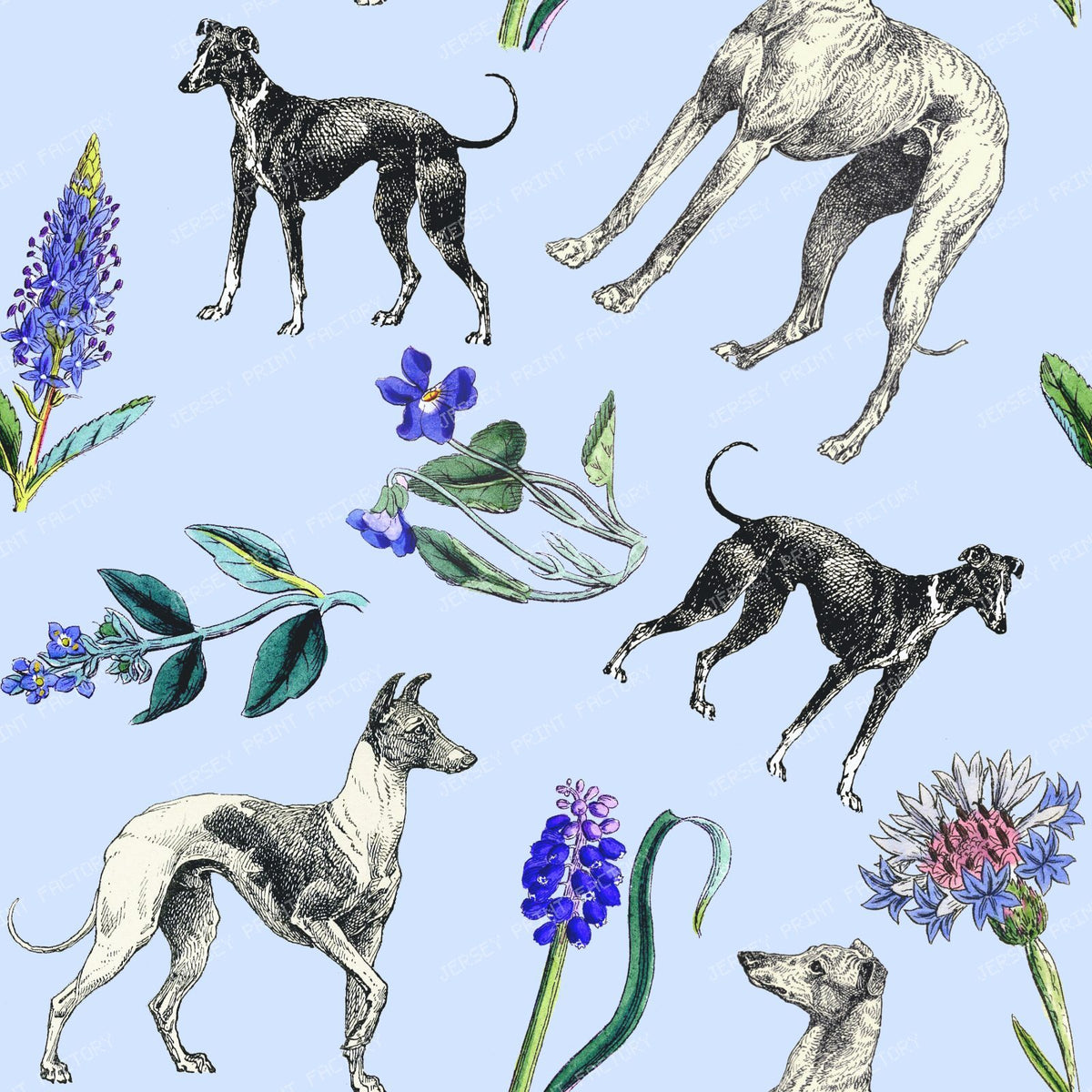 Greyhound Dogs and Spring Flowers Cottagecore Pattern on Blue