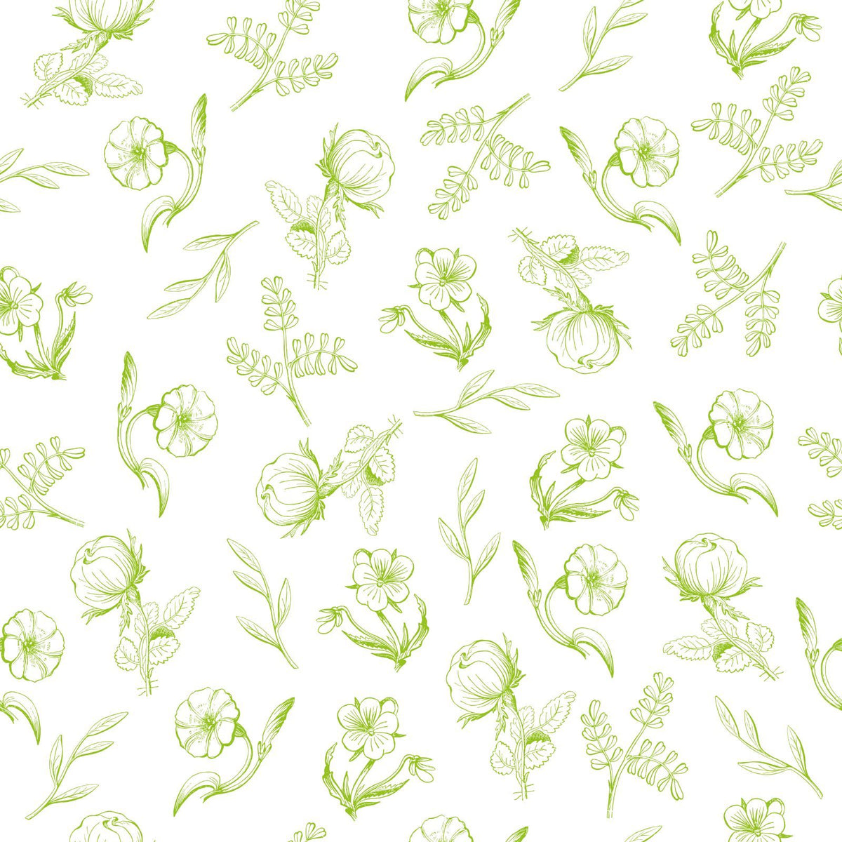 Trumpet Flowers, Blue Flowers, Wildflowers, Leaves — Green