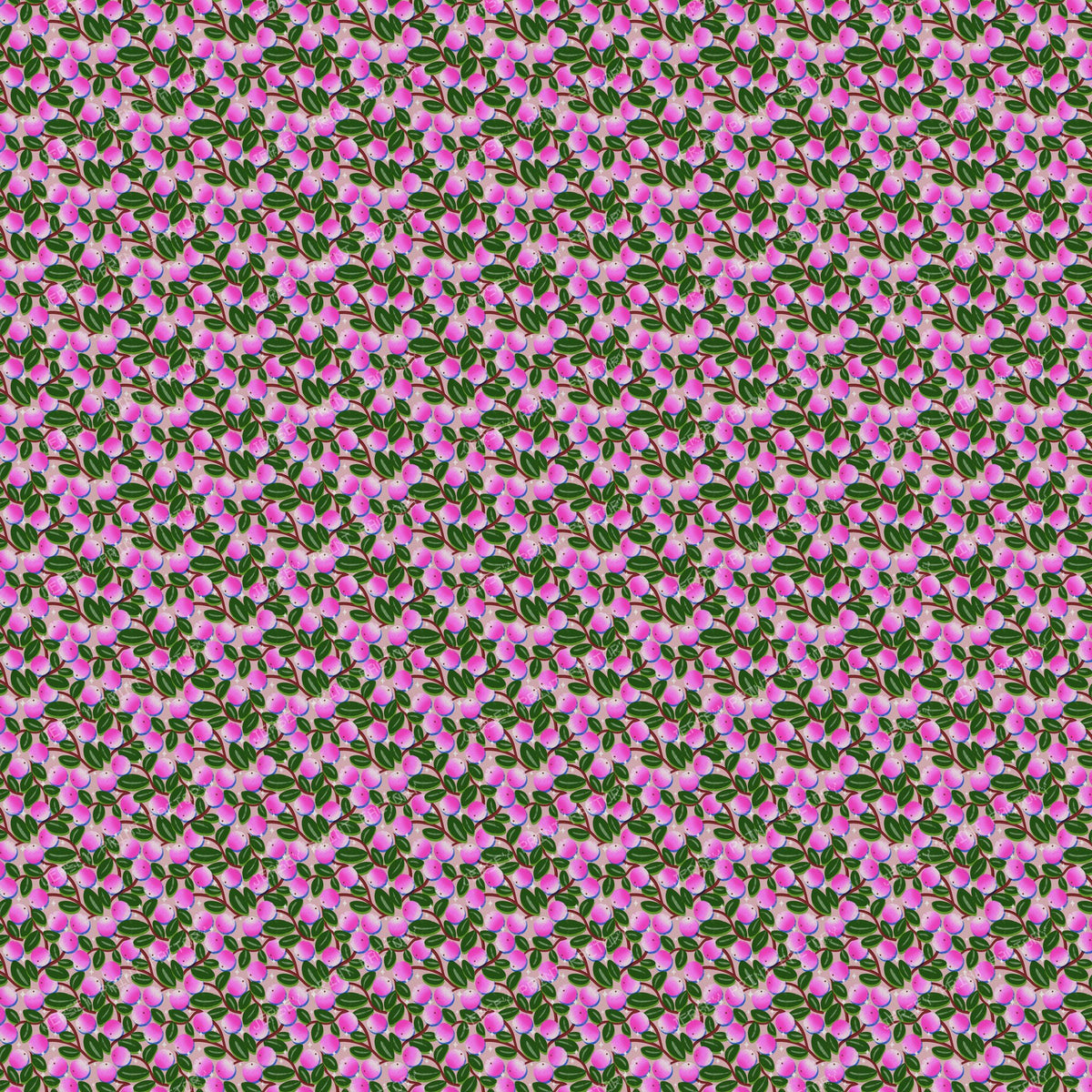 Winter Snowberries and Sparkle on Pink
