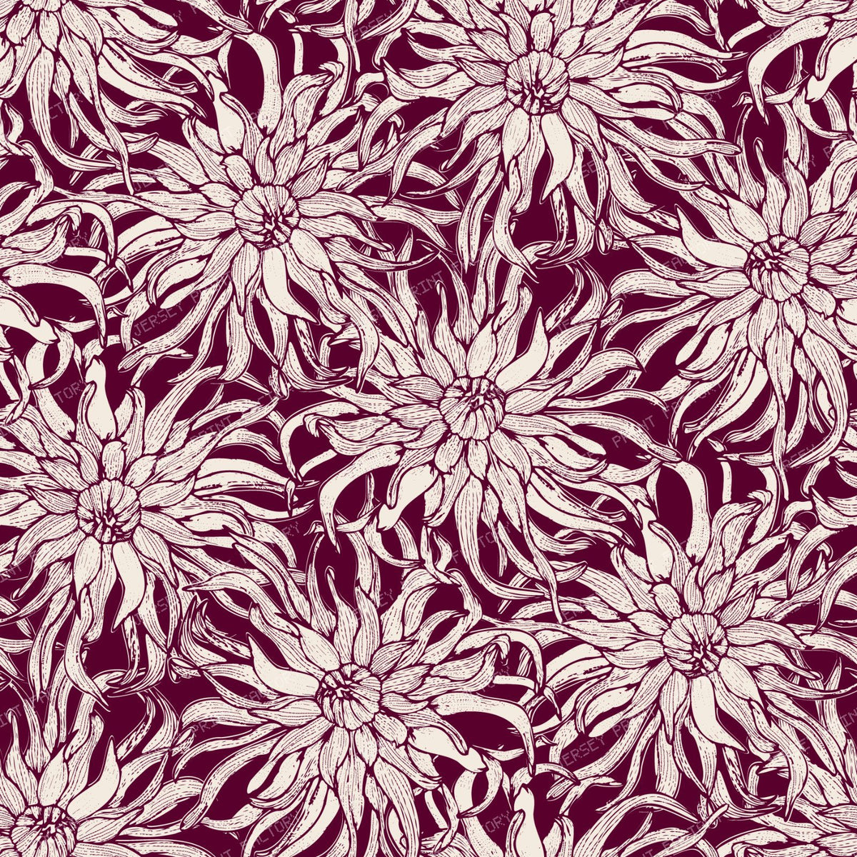 Moody Cactus Dahlia Line Art Vintage Botanical Floral — Deep Burgundy