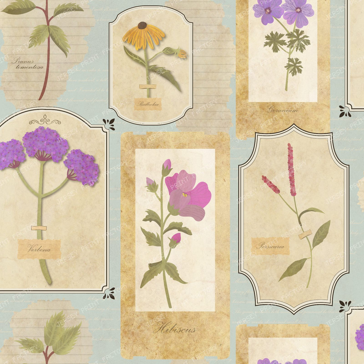 Vintage Botanical Herbarium with blue background