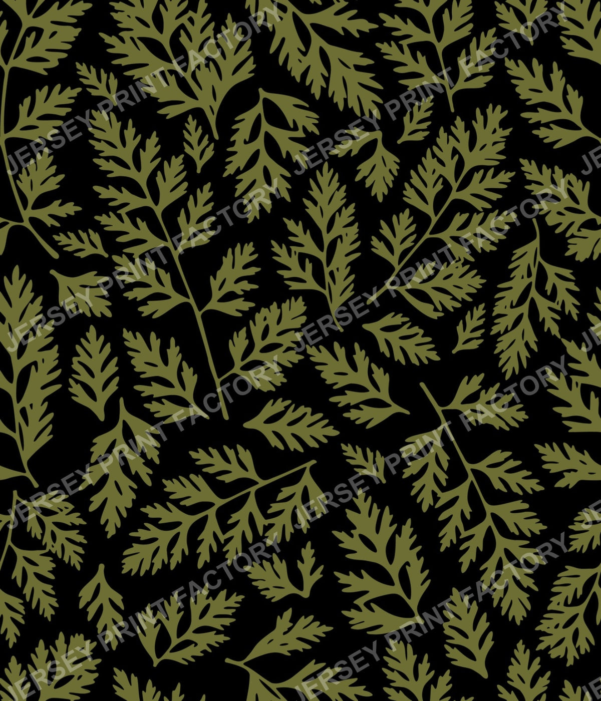 Botanical Fern Leaves - Green on Black