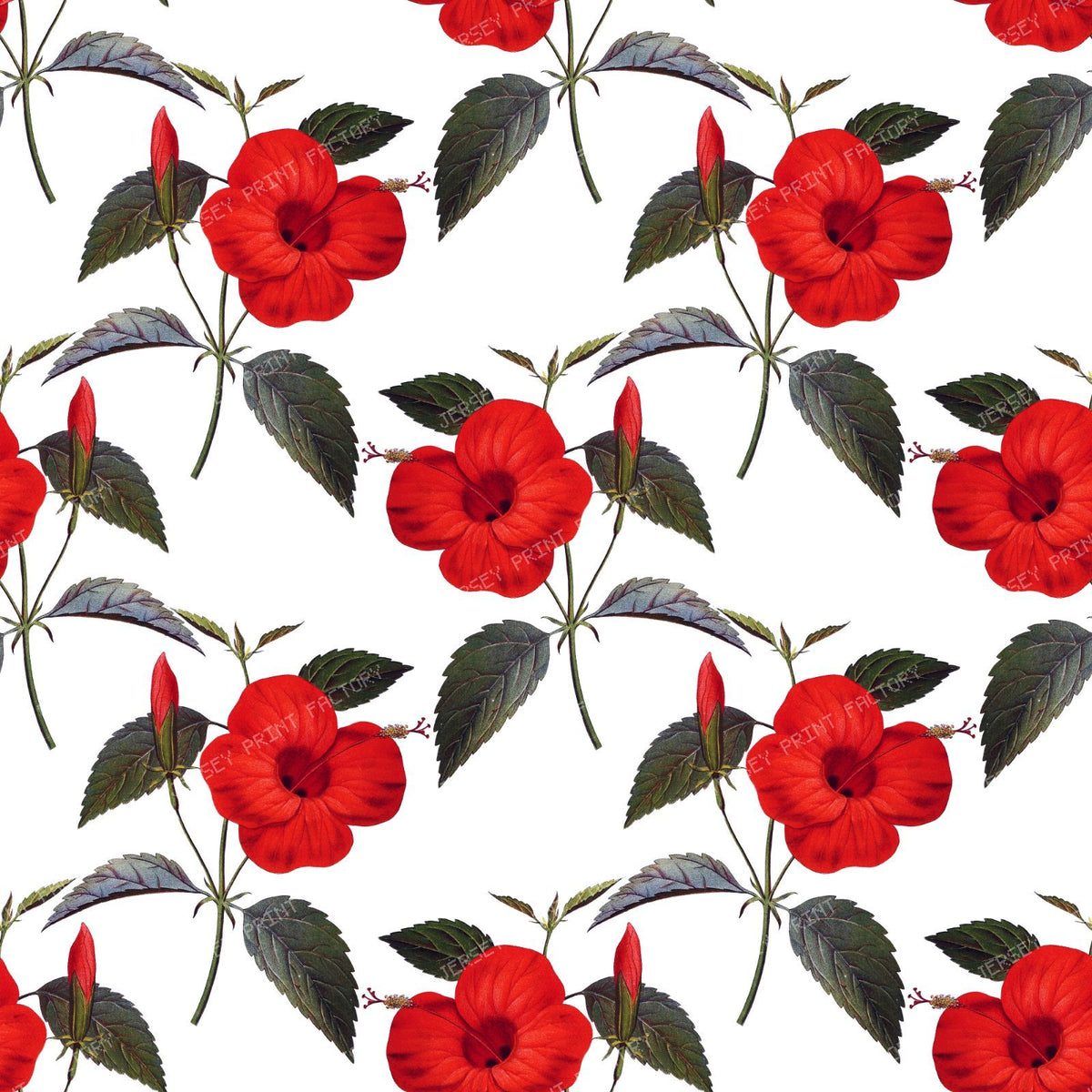 Red Hibiscus, Red Flowers, Floral Pattern, Greenery