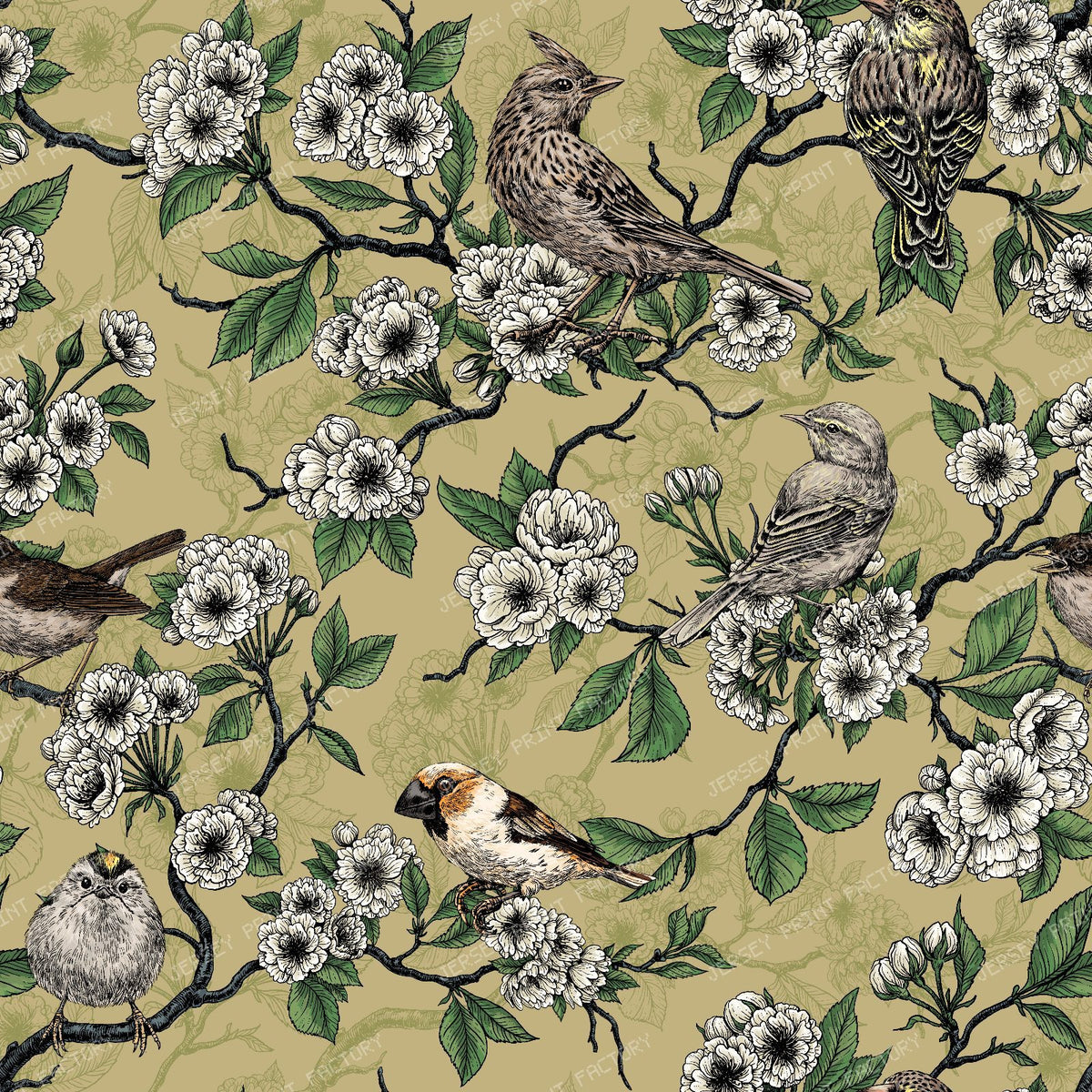Birds and cherry blossom on white — on ecru