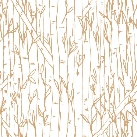 Bamboo Forest in Coffee
