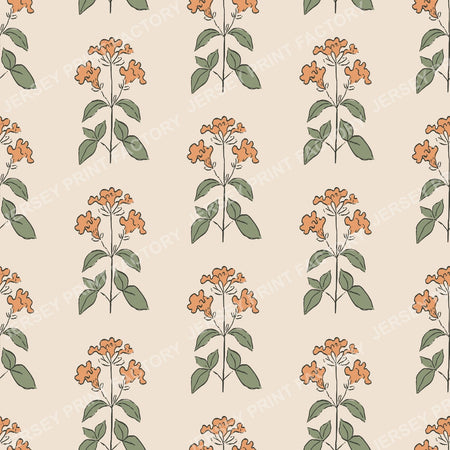 Muted Apricot