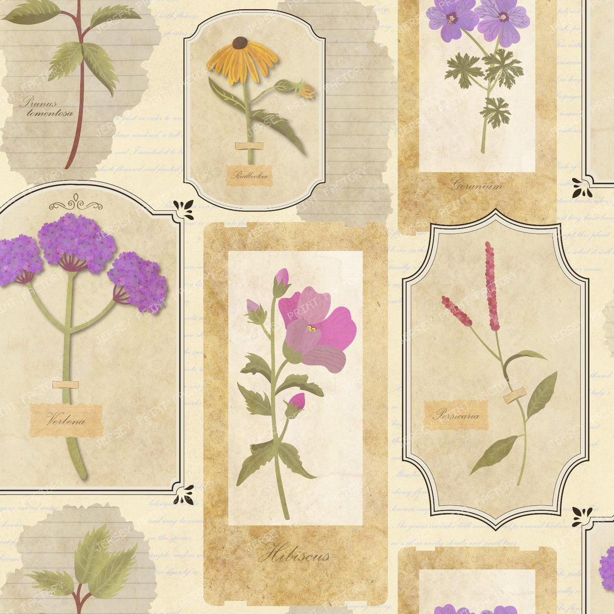 Vintage Botanical Herbarium with blue background — Vintage Botanical Herbarium