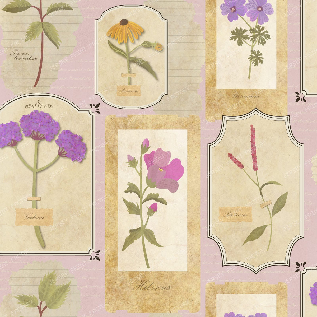 Vintage Botanical Herbarium with blue background — light pink