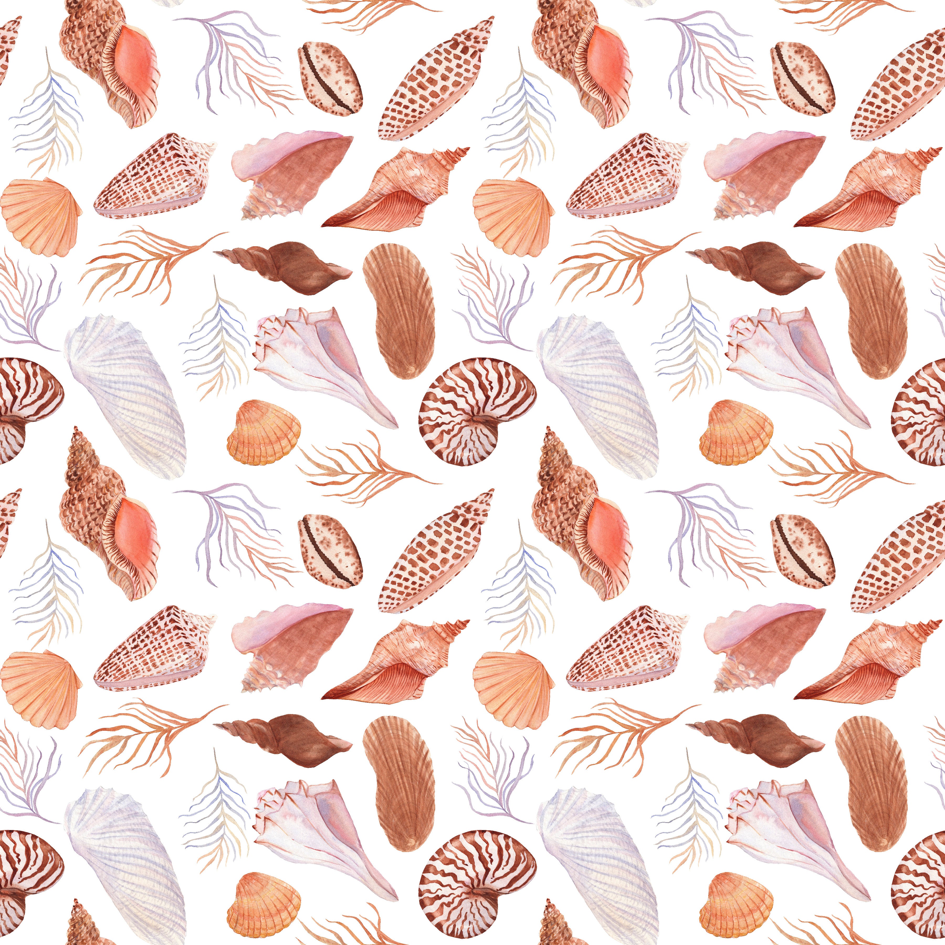 Seashell Pattern Simple White Seashell Patterns on White Fabric D1588 – Jersey Print Factory